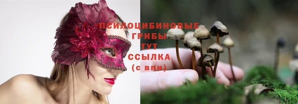 дмт Алексеевка