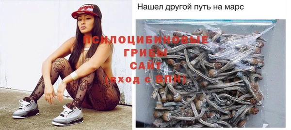 СК Алзамай